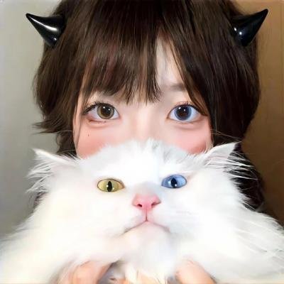 辛巴达历险